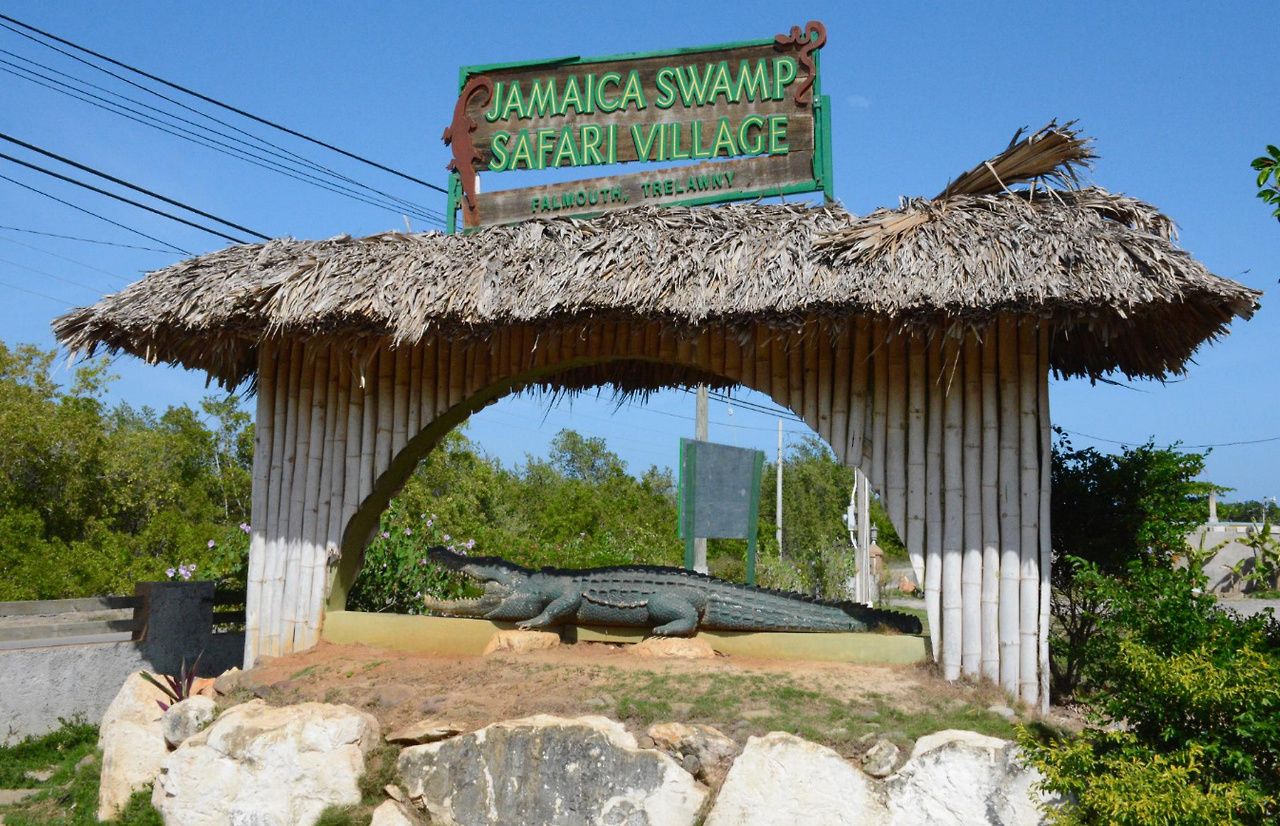 Swamp-Safari-Village-Falmouth-1.jpg